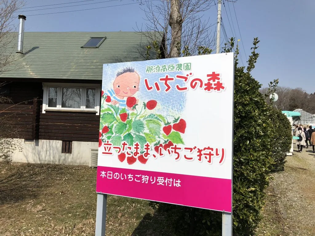 いちご狩りツアー