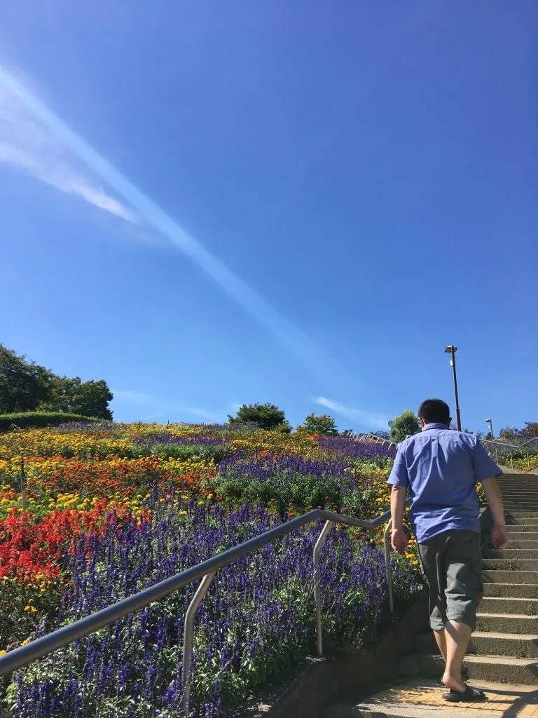 花の広場
