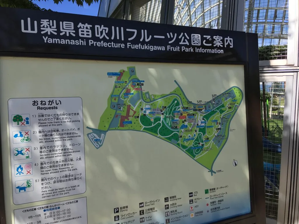 笛吹川フルーツ公園